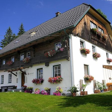Steinerhof Βίλα Sankt Georgen ob Murau Εξωτερικό φωτογραφία